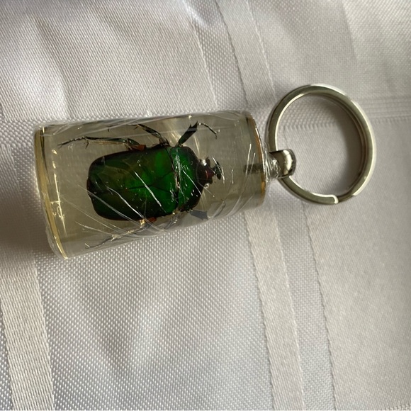 Green rose chafer beetle Keychain with Black Box - Father’s Day gift - Picture 5 of 5